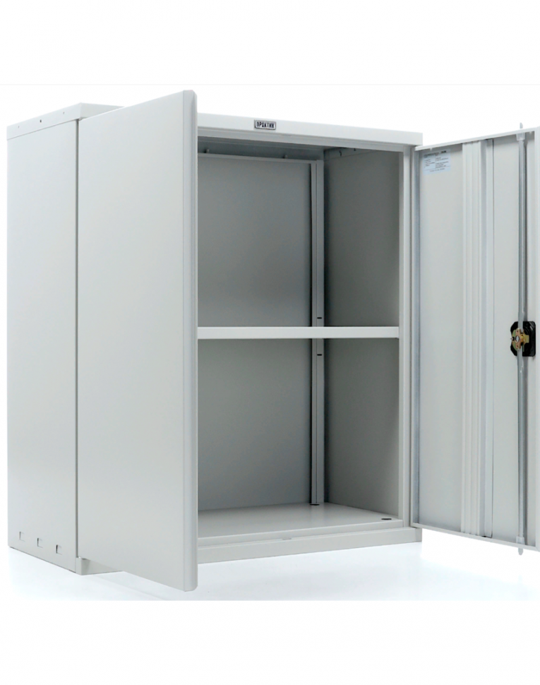 Шкаф Практик СВ-11 купить в Пскове