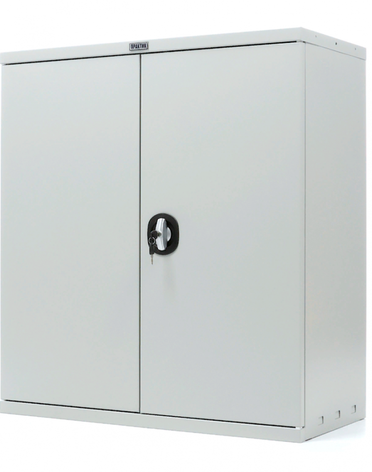 Шкаф Практик СВ-11 купить в Пскове