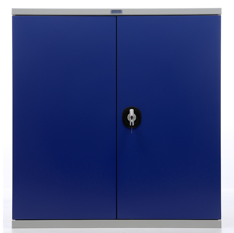 Шкаф инструментальный ТС 1095-100215 купить в Пскове