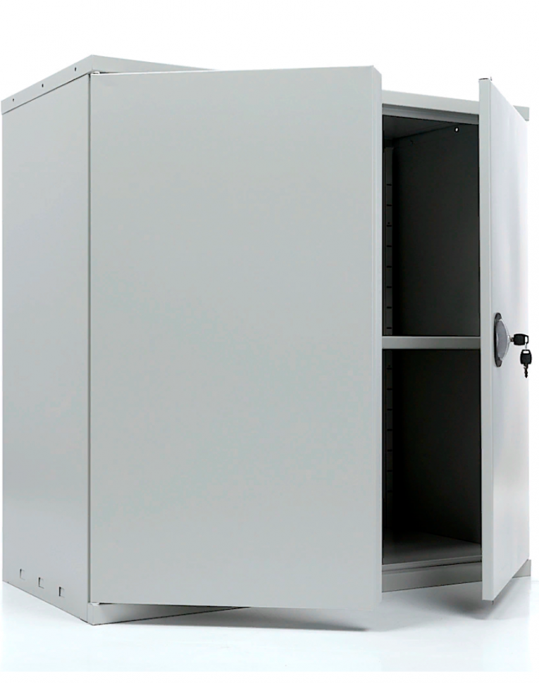 Шкаф Практик СВ-21 купить в Пскове