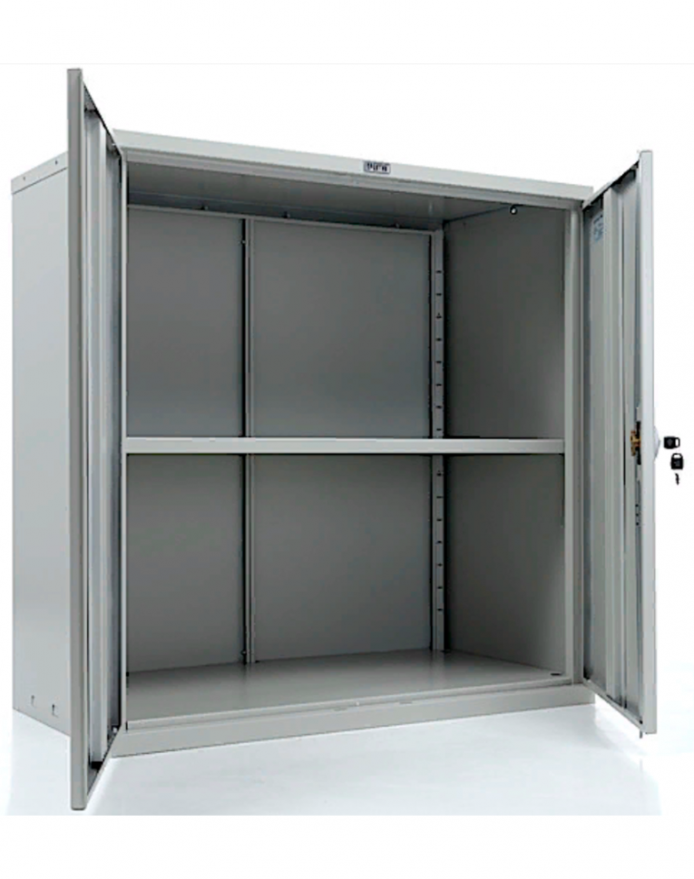 Шкаф Практик СВ-21 купить в Пскове