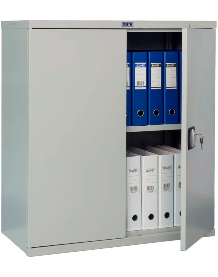 Шкаф Практик СВ-21 купить в Пскове