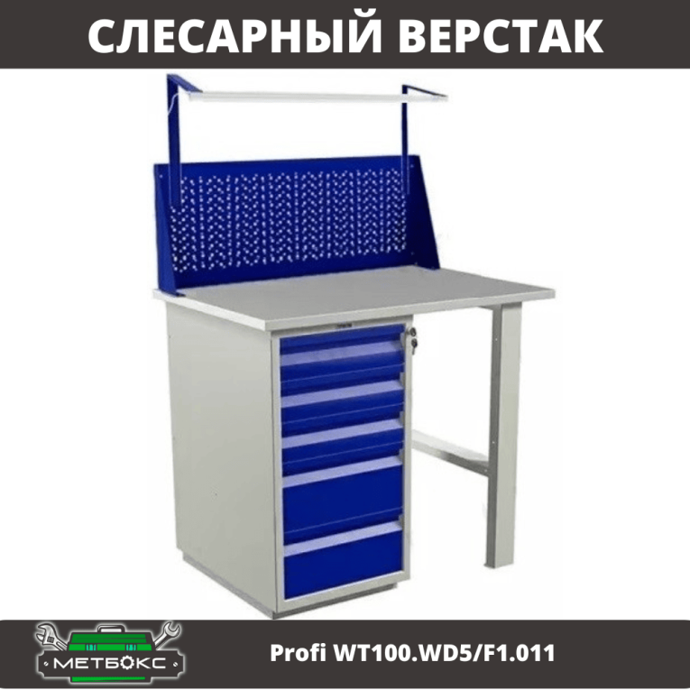 Верстак Profi WT100.WD5/F1.011 купить в Пскове