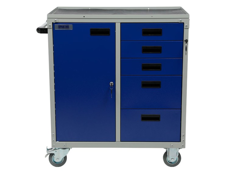 Инструментальная тележка WDS D-5.1 купить в Пскове Инструментальная тележка WDS D-5.1 купить в Пскове