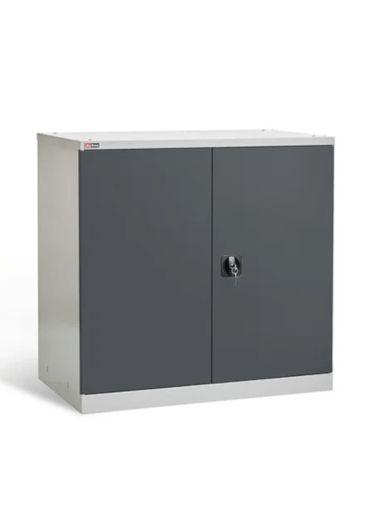 Шкаф инструментальный ДиКом ВЛ-051-01 купить в Пскове