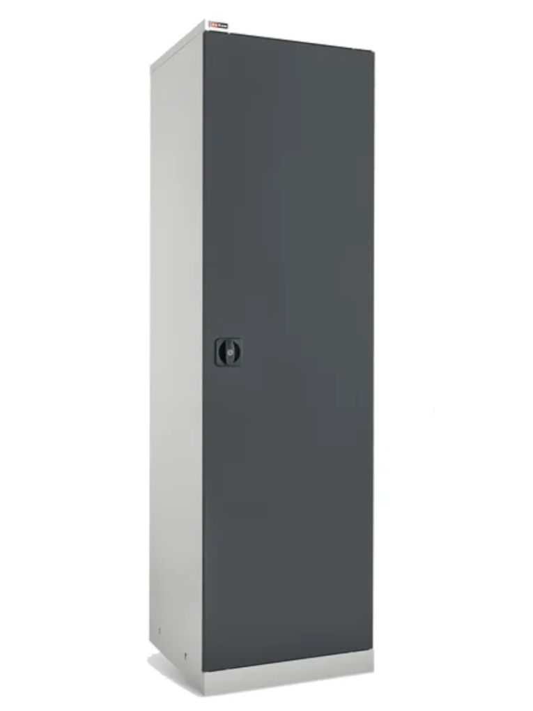 Шкаф инструментальный ДиКом ВЛ-К-050-05 купить в Пскове