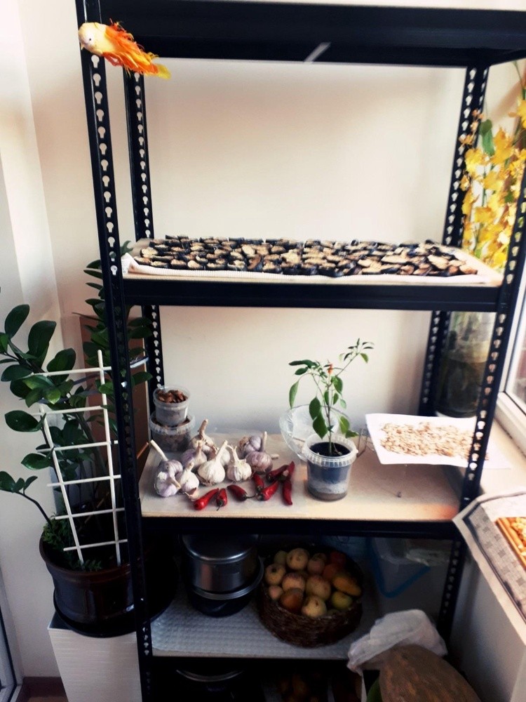 Стеллаж быстросборный ЛОФТ (SBL) 180х120х45 5 полок купить в Пскове