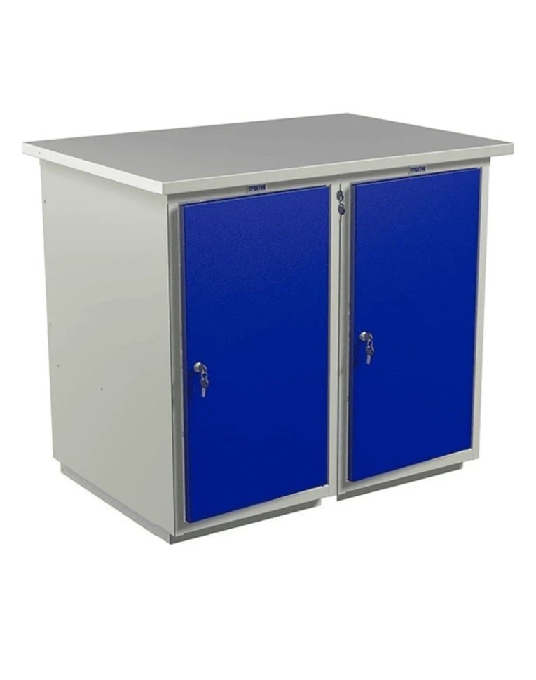 Верстак Profi WT100.WD1/WD1.000 купить в Пскове Верстак Profi WT100.WD1/WD1.000 купить в Пскове