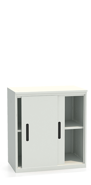 Шкаф-купе архивный ALS-8896 купить в Пскове Шкаф-купе архивный ALS-8896 купить в Пскове