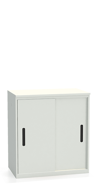 Шкаф-купе архивный ALS-8896 купить в Пскове Шкаф-купе архивный ALS-8896 купить в Пскове