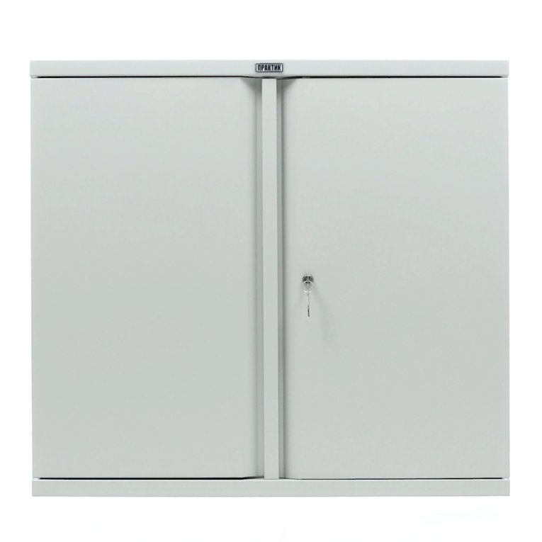 Шкаф Практик AM 0891 купить в Пскове
