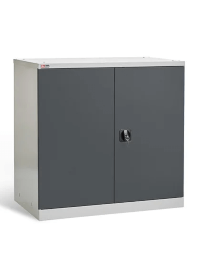 Шкаф инструментальный ДиКом ВЛ-051 (7038/7016) купить в Пскове Шкаф инструментальный ДиКом ВЛ-051 (7038/7016) купить в Пскове